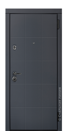 Входная дверь Степ STEP.M100M.21#