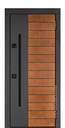 Входная дверь Сага SAGA.M100M.1