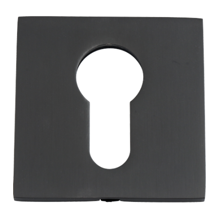 Накладка под  ключевой цилиндр VERGE CL-C ASH.SILVER Пепельно-серебристый